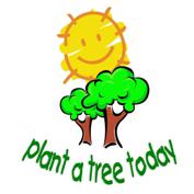 Plant a Tree Today